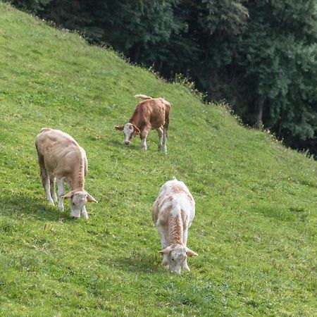 Ferienwohnung Oberrissglueck Schliersee Εξωτερικό φωτογραφία