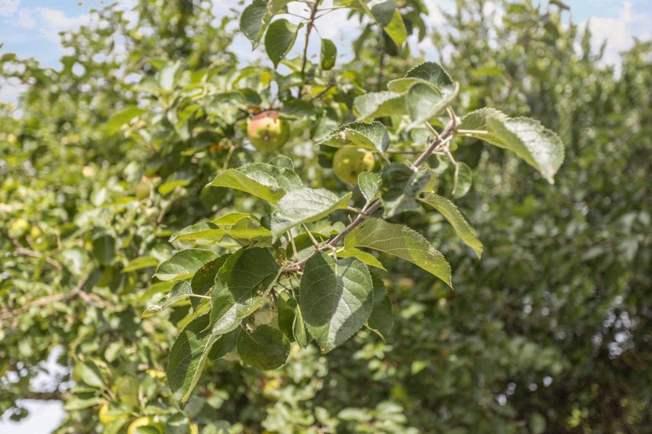 Ferienwohnung Oberrissglueck Schliersee Εξωτερικό φωτογραφία